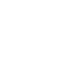 MANUFACTURING SYSTEMS Consulting